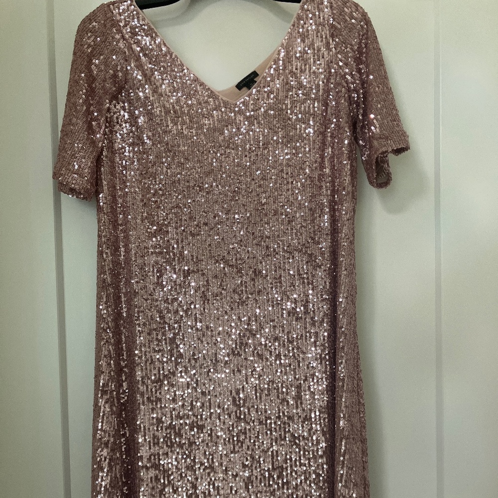 Ann Taylor Pink Sequined Dress
